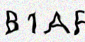 captcha code